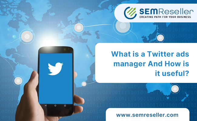 What is a Twitter ads manager And How is it useful?