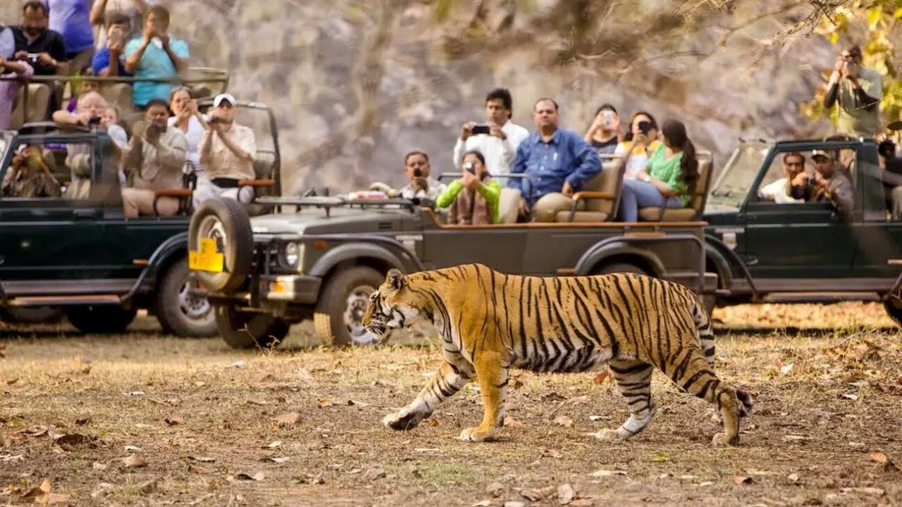 Chitwan Tour Package: Nepal’s  2025 A Complete Guide to 